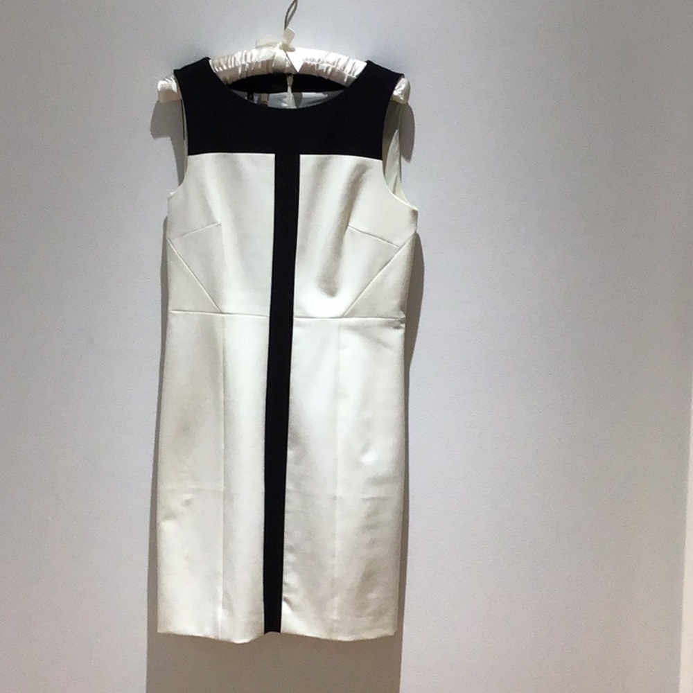 4 Collective/ Beautiful Dress/ size 8